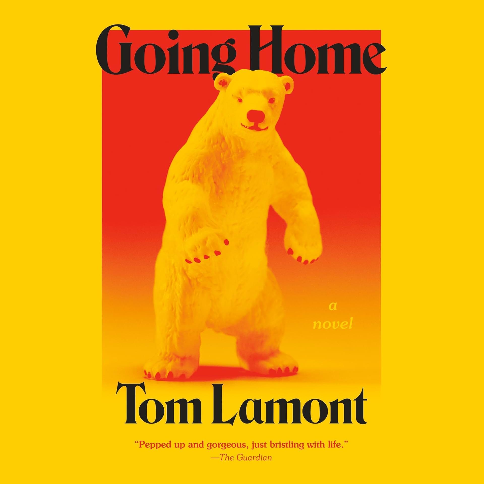 cover-image