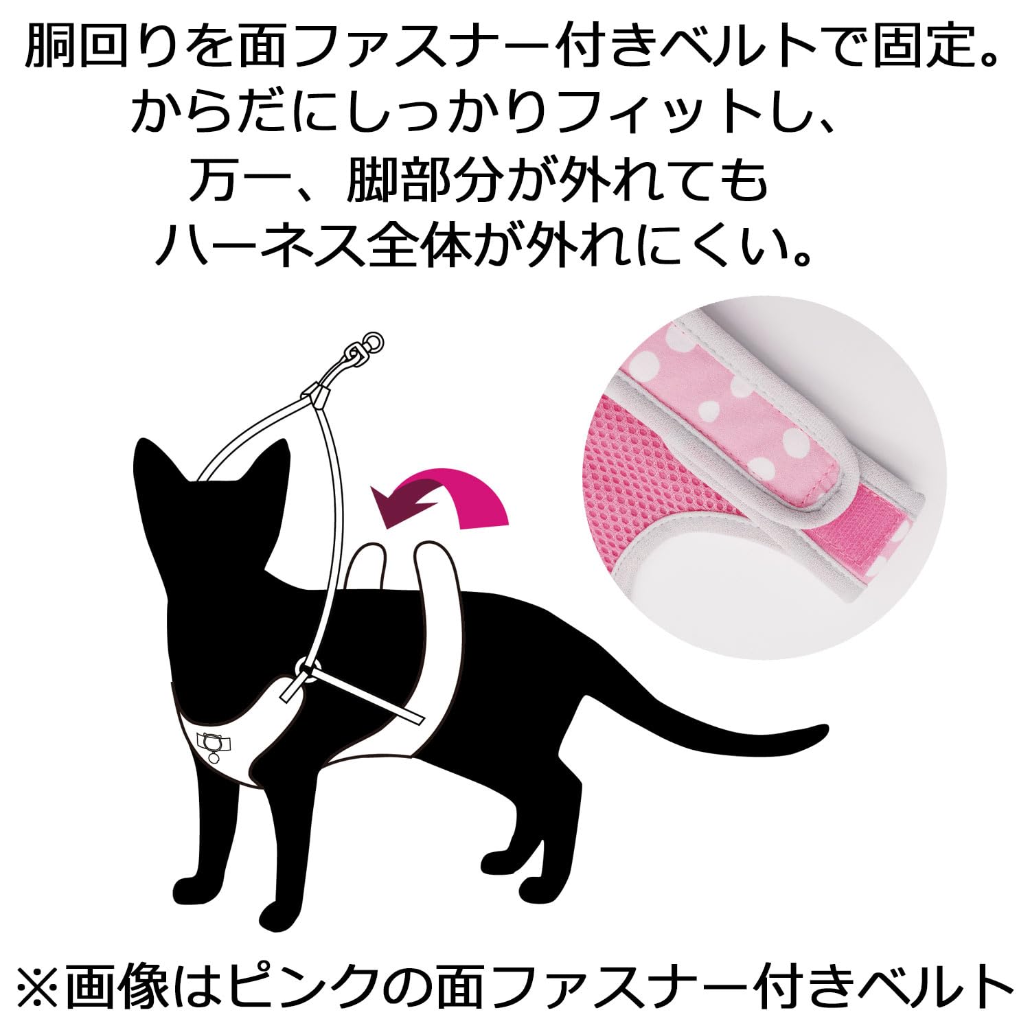 Amazon | キャティーマン (CattyMan) ル・コリエ キャットライフ