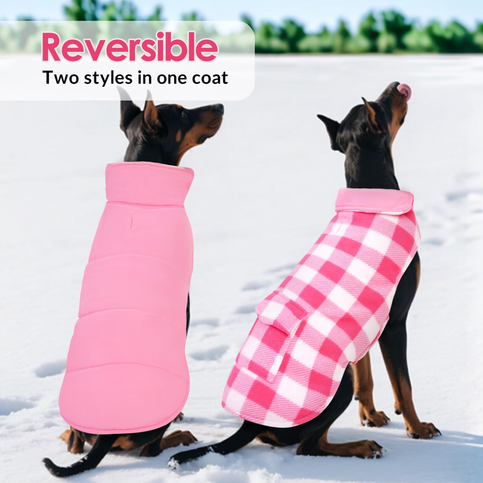 ASENKU Cappotto Cane Impermeabili Invernale, Cappottino Cane Reversibile Antivento Freddo Taglia Media M, Calda Giacca per Cani,Gilet per Cani con Fodera in Lana Protegge Dal Freddo