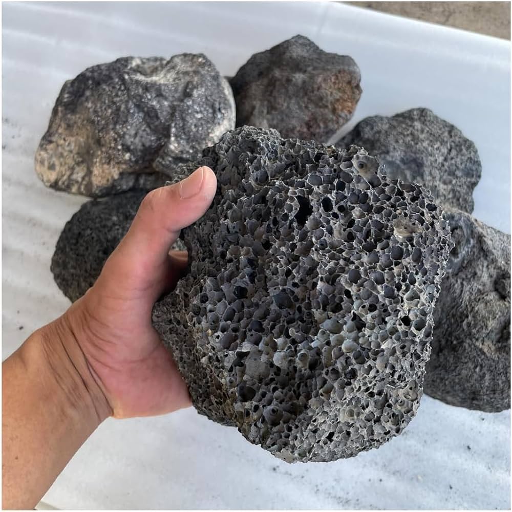Amazon | 火山岩 溶岩石 ボルカブラック 10kg アクアリウム ロック