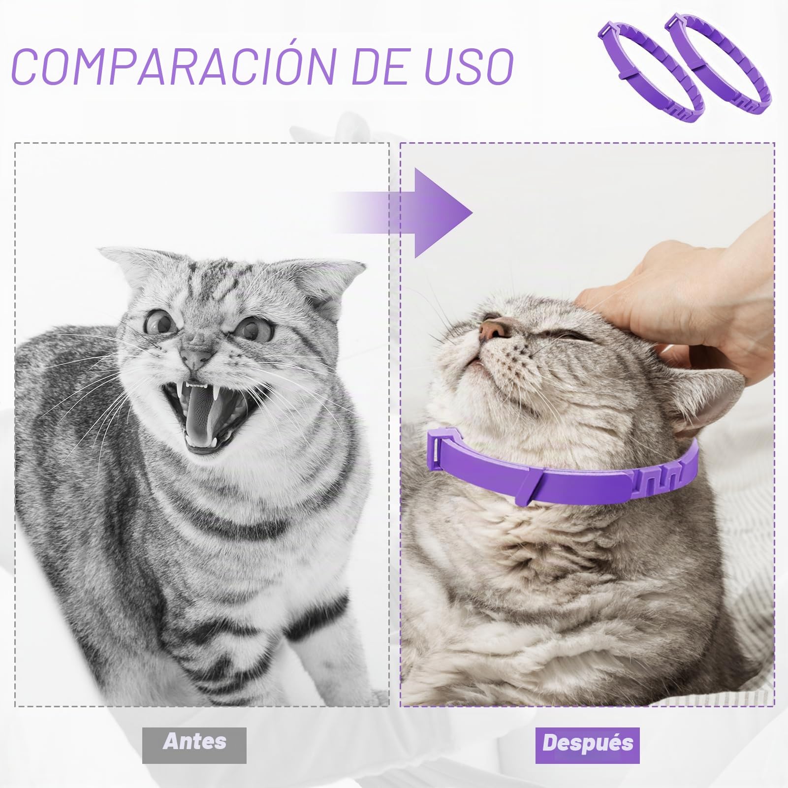 Collar calmante para gatos, 4 piezas, antiestrés con feromonas naturales – Lavanda y manzanilla, ajustable (hasta 38 cm), 30 días de efecto, para gatitos y gatos adultos
