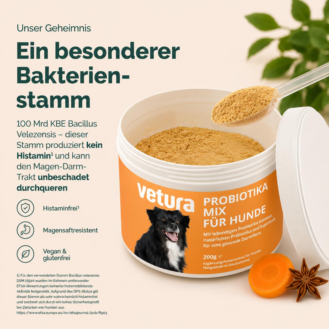 Probiotika-Mix für Hunde - 200 g - Natürliches Probiotika-Pulver - Präbiotika & Probiotika - Zur Unterstützung Einer gesunden Darmflora - Ohne künstliche Zusatzstoffe - Made in Germany