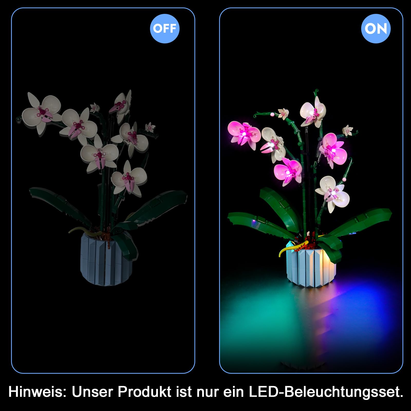 LocoLee Licht Set Kompatibel mit Lego 10311 Orchidee Blumen Botanical Collection, Nur Lichter Set, Licht Beleuchtung Set Compatible with Lego Orchidee (Nicht enthalten Modellset)