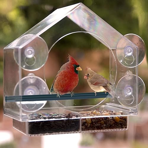 Miniatura 8 de Comederos para pájaros de ventana, comederos de plástico transparente con 4 ventosas fuertes, bandeja deslizante y agujeros de drenaje para