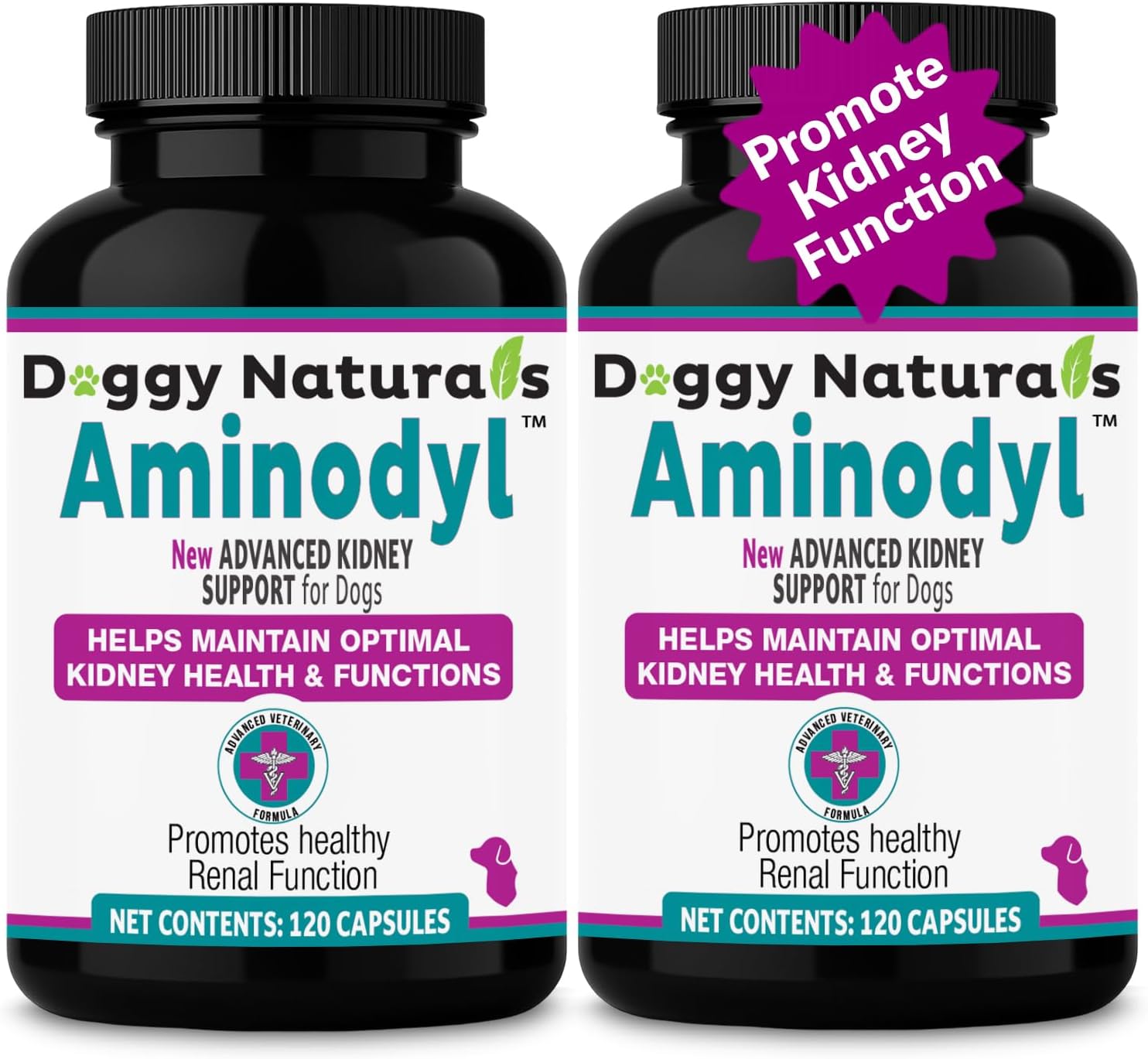 Aminodyl™ Kidney Support Supplement 1100mg for Dogs - Supports Natural Kidney Function - Promotes Health, Wellbeing & Vitality of Kidneys - 240 Sprinkle Capsules - U.S.A Made