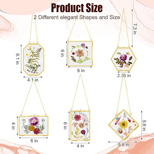 Miniatura 3 de 12 marcos de vidrio de latón para flores prensadas, marcos de fotos colgantes con cadena, marco de vidrio doble transparente, marco flotante dorado,