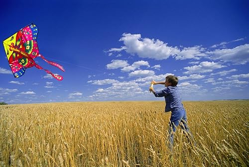 Miniatura 3 de Hengda Kite So Beautiful Peony Butterfly Kite Single Line Kite Incudes 30m String and Handle
