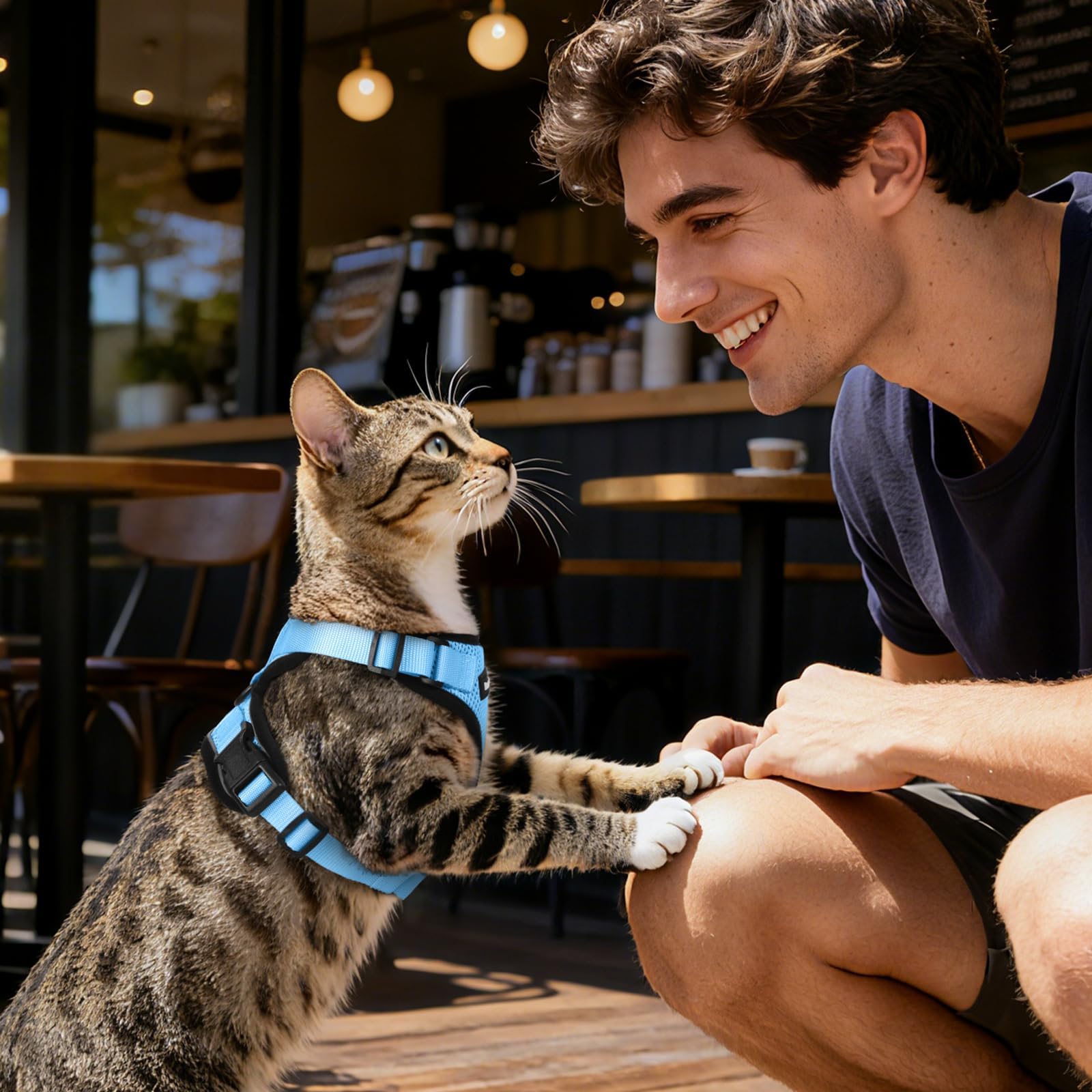 Dooradar Harnais et Laisse pour Chat, Anti-Fuite, sûr et réglable, Gilet pour Chaton, contrôle Facile, Veste en Maille Douce et Respirante avec Bandes réfléchissantes