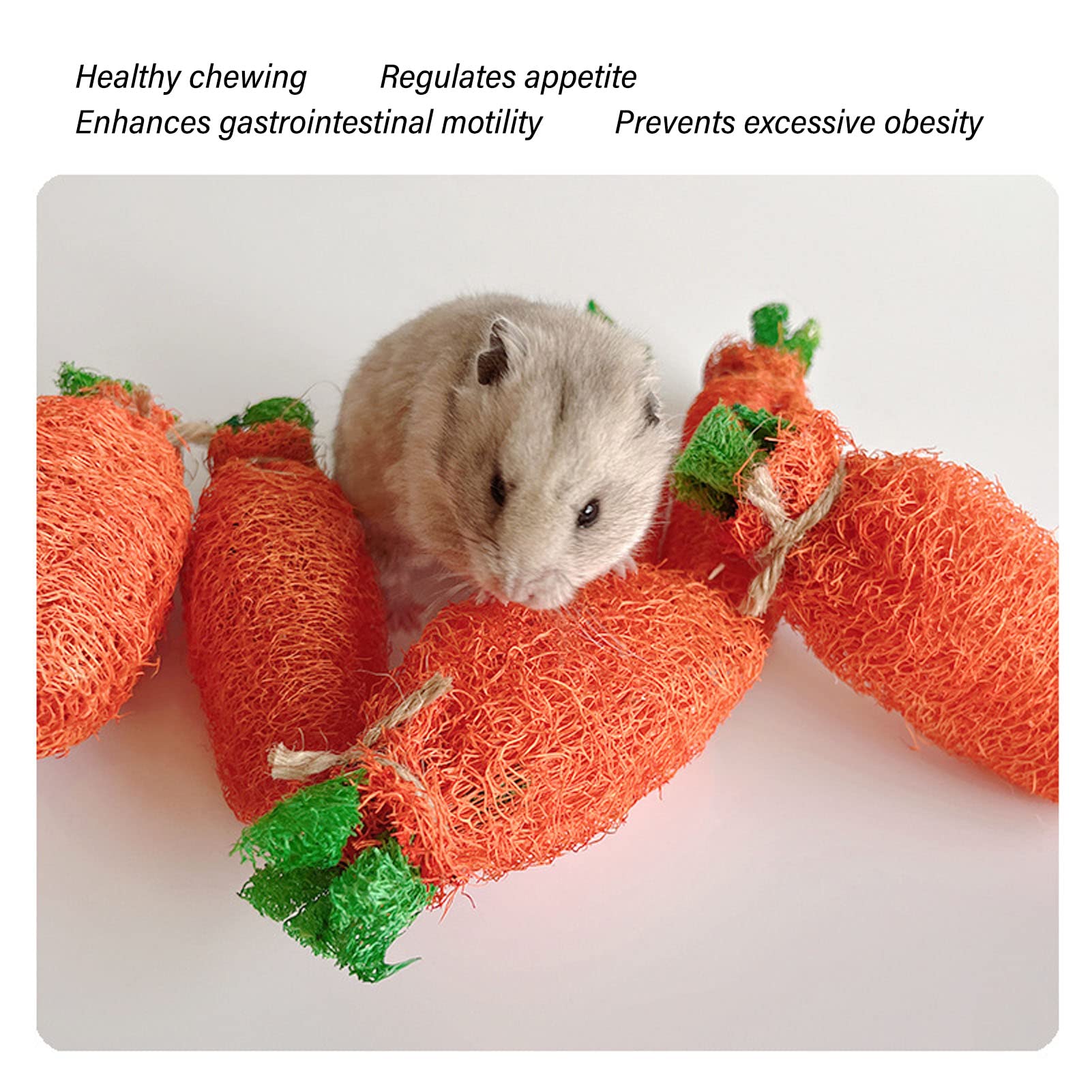 FIPASEN Jouets à Mâcher Pour Lapin Nain, Lot De 16 Jouets à Mâcher