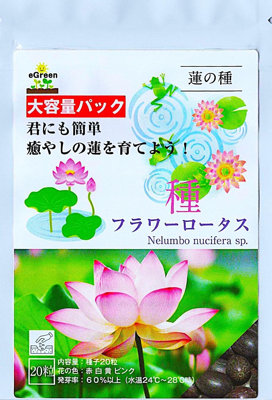 Amazon.co.jp: [eGreen] 蓮の種 ミニハス 蓮 フラワーロータス 国産