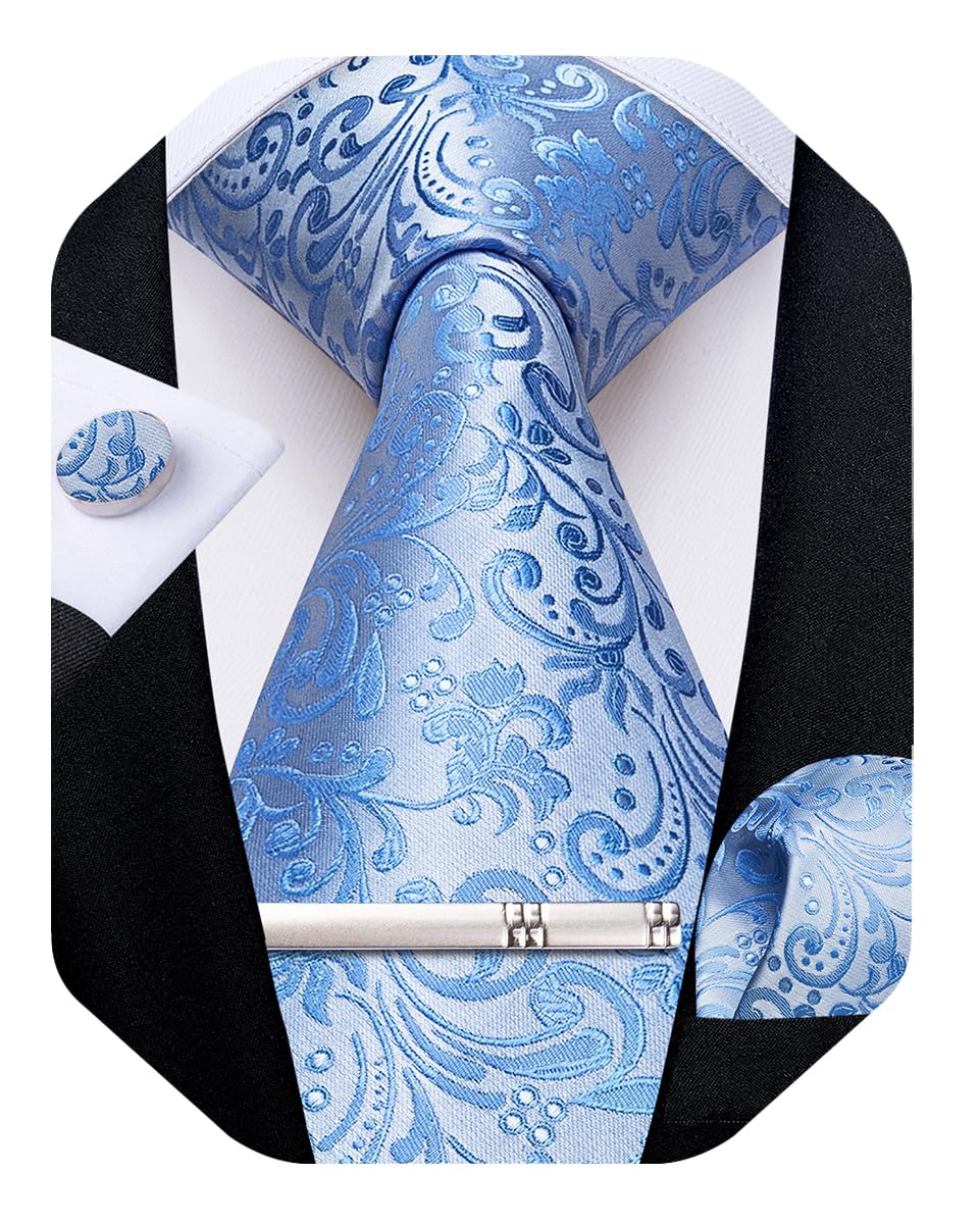 DiBanGu Silk Floral Ties for Men Woven Paisley Necktie