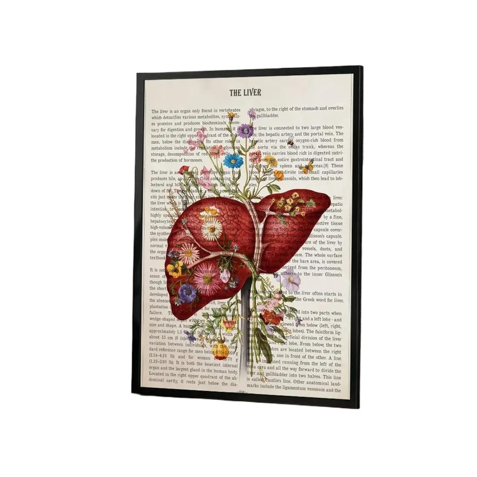 1 Szt. Kwiat Narządów Anatomia Plakat Naklejka Samoprzylepna Do Pokoju Zabaw Sypialnia Przedpokój Dekoracje Ścienne Domu Prezent(White18,50X70cmNoframe)