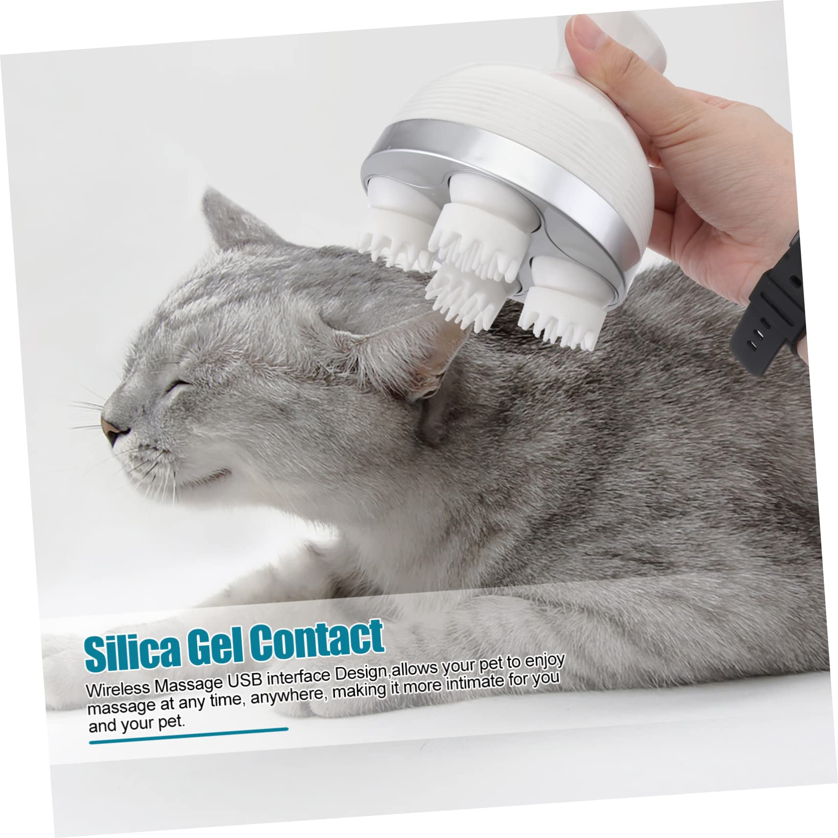 Toddmomy Massaggiatore Elettrico Per Animali Domestici Massaggio Profondo e Relax Per Gatti e Cani Ricaricabile Usb Design Omnidirezionale Giocattolo Divertente Accessorio Per Benessere
