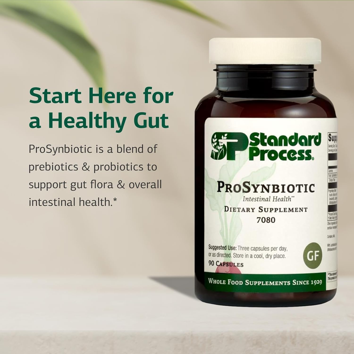 Standard Process ProSynbiotic - Digestion Supplement with Bifidobacterium - Probiotic Supplement for Immune System Support - Gut Health Supplement for Bowel Consistency - 90 Capsules