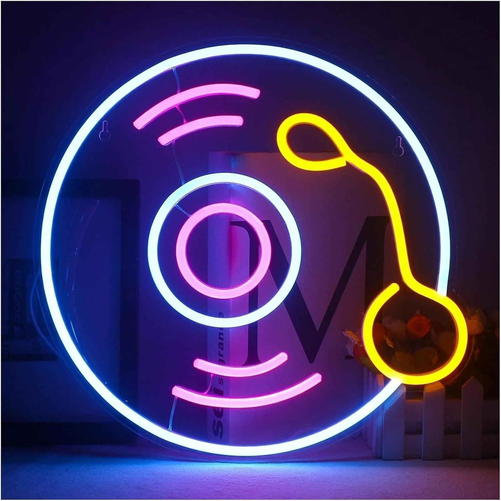 Zynther Neon lamp Colorful Letters Interior Lighting Neon Sign Recording Studio DJ Vinyl Record Wall Decor(5)