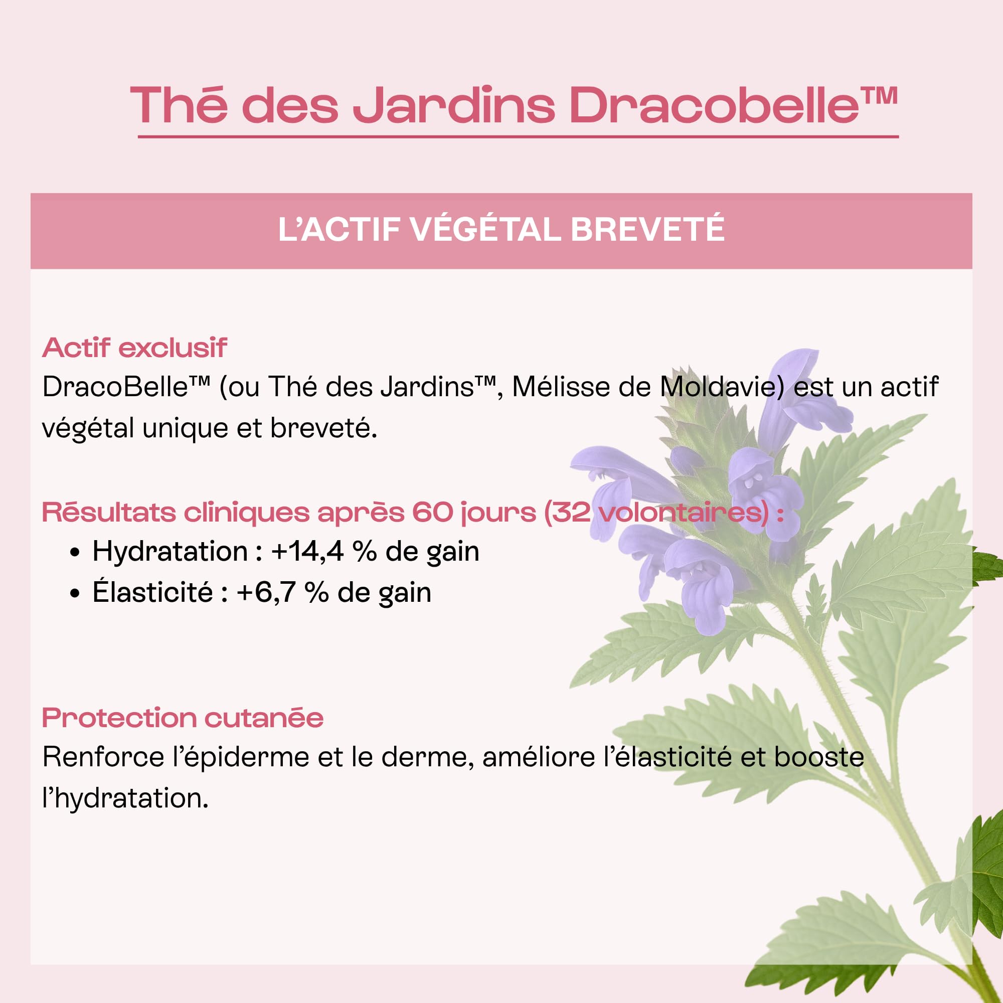 OMUM - La Surdouée - Complément Alimentaire au collagène marin - Elasticité, hydratation beauté de la peau - Compatible grossesse et allaitement, sans gluten ni gélatine - 60 gélules 1 mois de cure