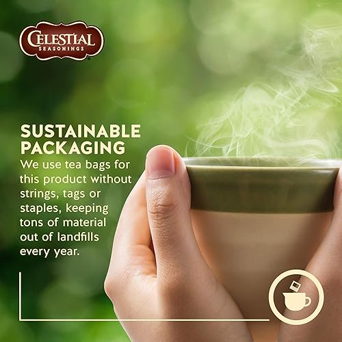 Miniatura 6 de Celestial Seasonings Té de hierbas Wild Berry Zinger, 20 unidades (paquete de 6)