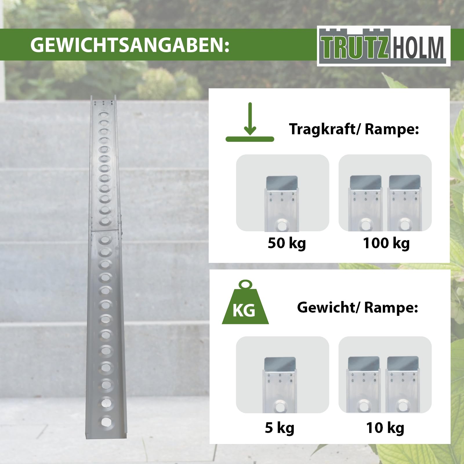 TRUTZHOLM Auffahrschiene klappbar 240 cm Tragkraft 50 kg Alu grau gelocht Fahrradrampe Rampe