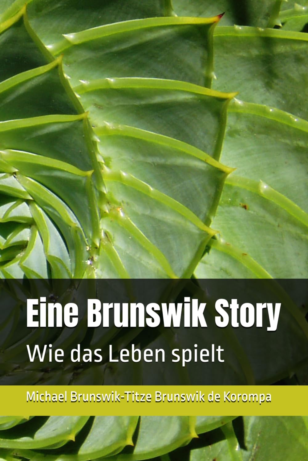 Eine Brunswik Story: Wie das Leben spielt