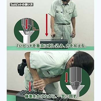 法螺貝2個セット 新品セール - トレカプラザ55通販店｜トレーディングカード専門店