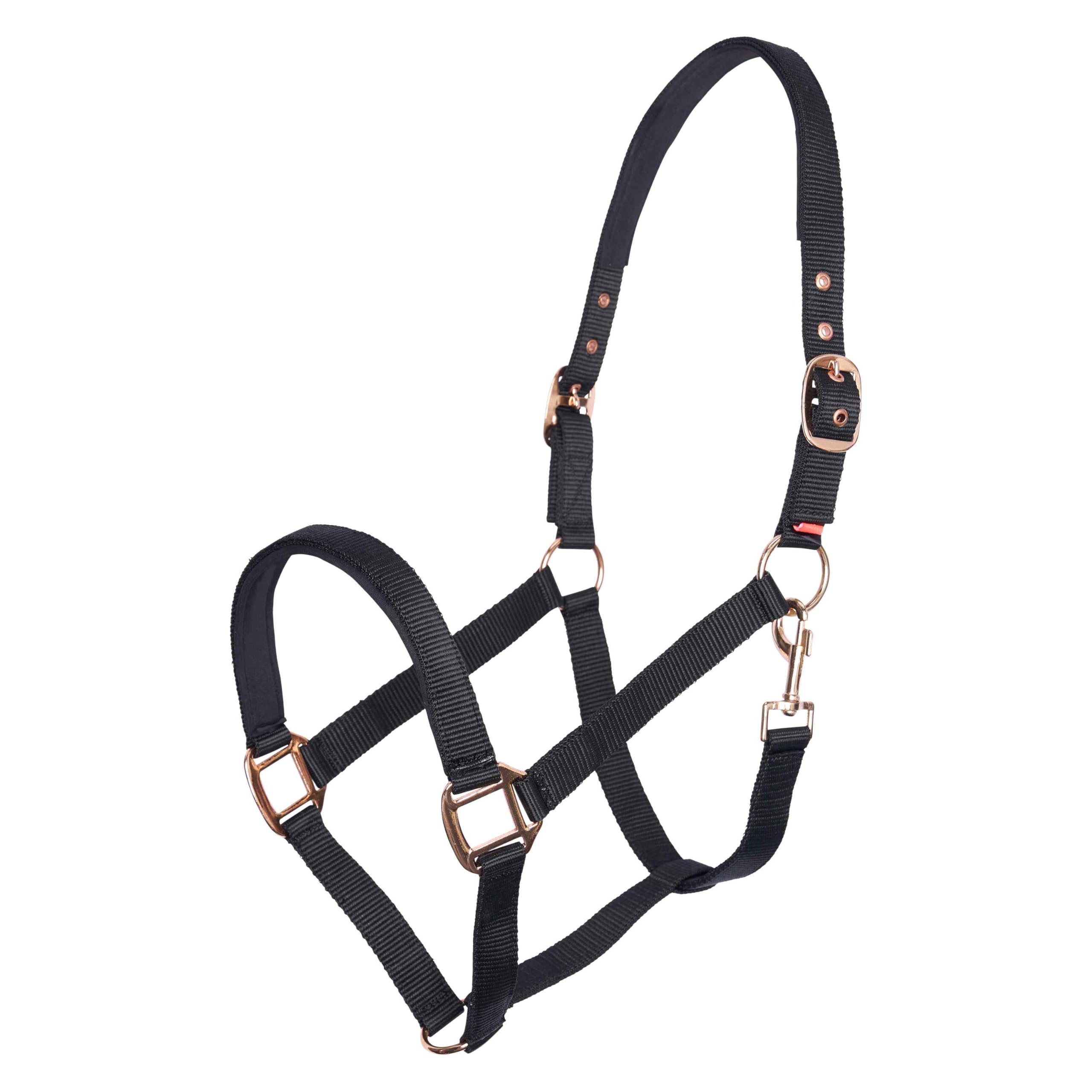 Cabezada de caballos negra IRHClassic Imperial Riding para entrenamiento ecuestre diario