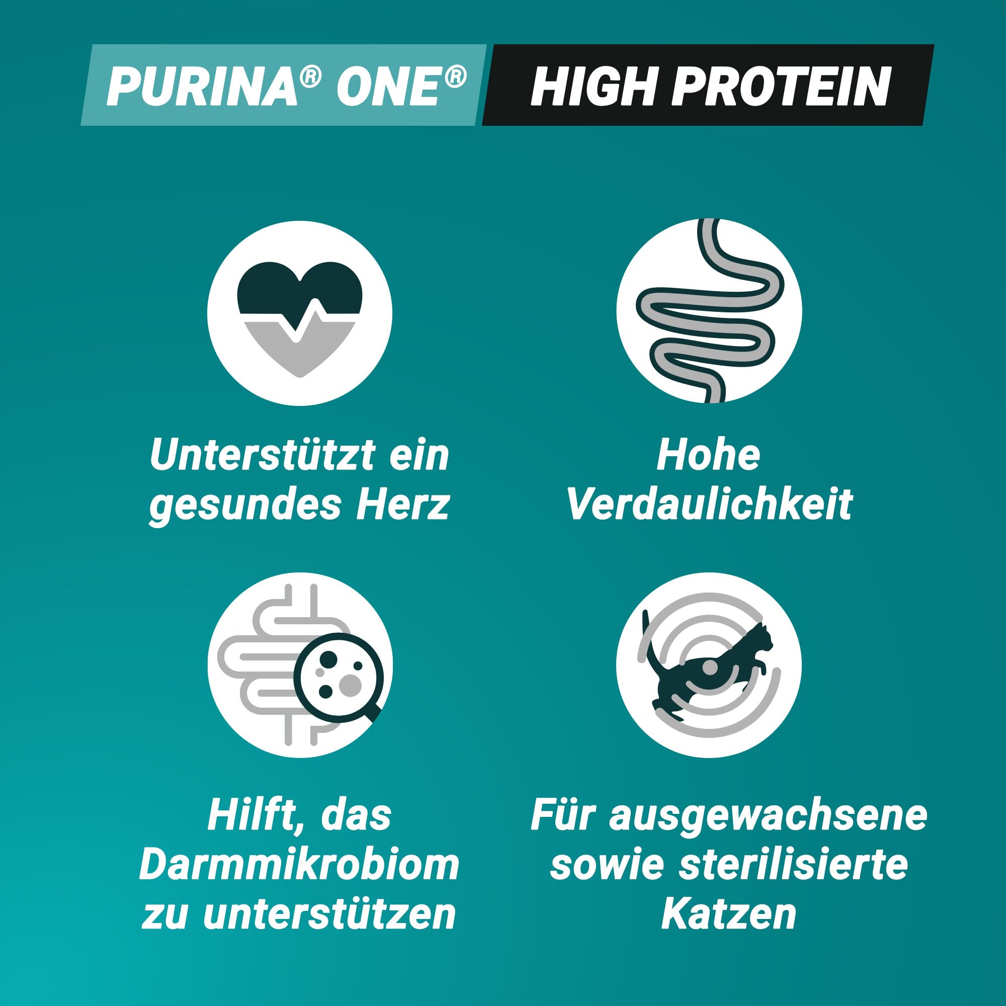 PURINA ONE High Protein, Katzenfutter trocken, reich an Lachs, 6 x 900g | Katzenfutter trocken