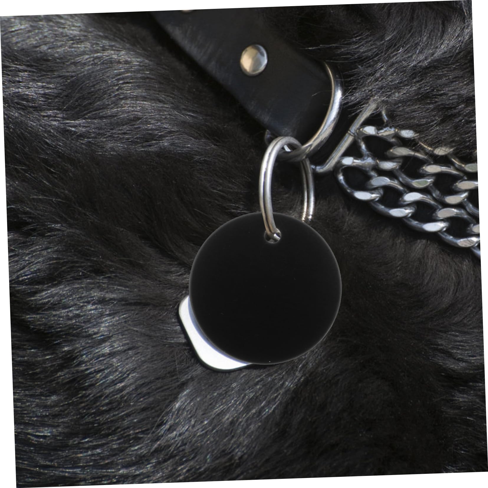 NUOBESTY Etichetta vuota portachiavi in ​​​​acrilico per vinile medaglietta vuota Resistente alla ruggine Accessori per ciondolo animale domestico targhetta cane impiccagioni per cani