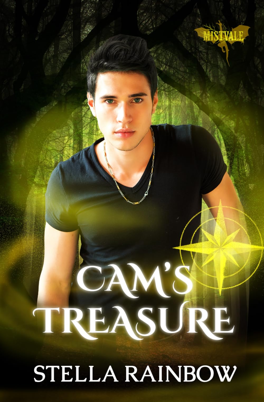 Cam's Treasure (Heirs of Mistvale)