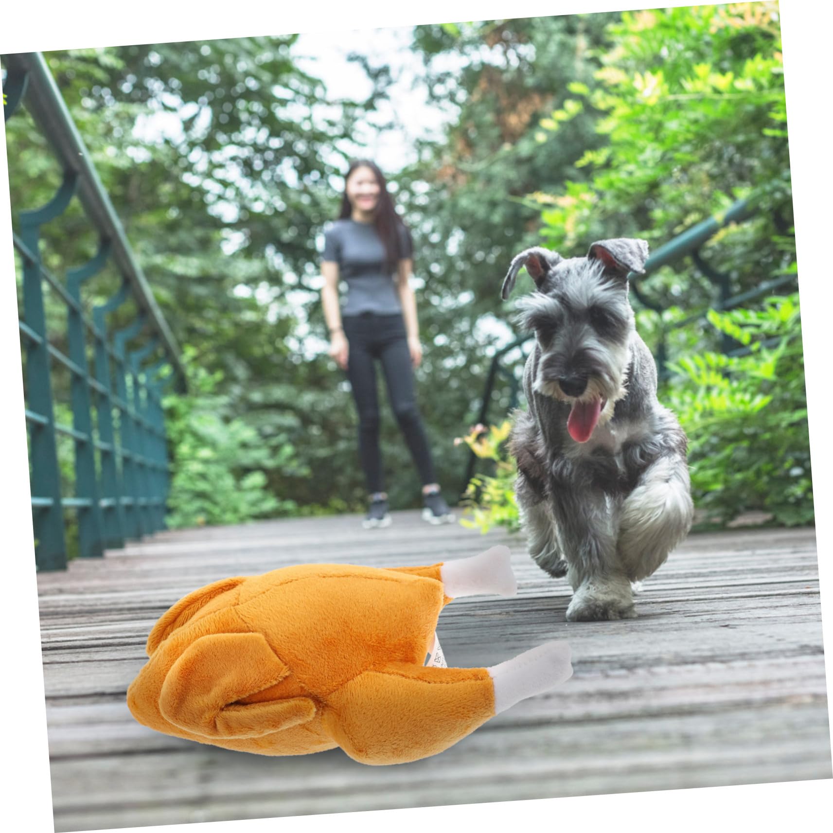 INOOMP 5pièces Jouet à Mâcher Squeaky pour Chiens Jouet Interactif De Formation Chasse Stimule Instinct De Recherche pour Chiots Et Petits Chiens Facile à Nettoyer Et Amusant
