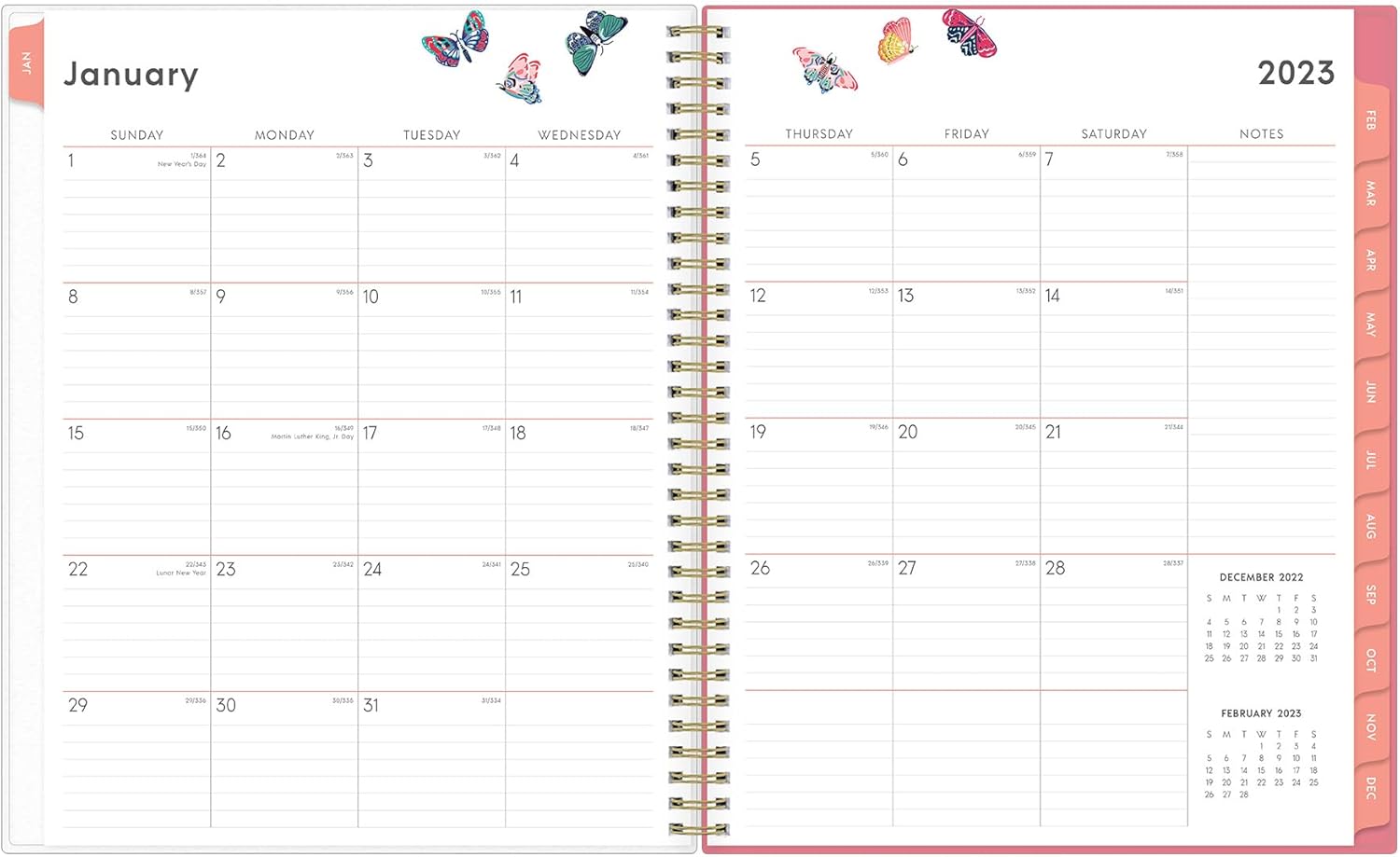 Blue Sky 2023 Weekly and Monthly Planner, January - December, 8.5" x 11", Frosted Cover, Wirebound, Fly By (140195)