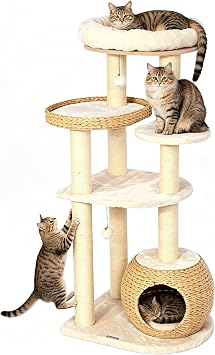 Modern Solid Wood Cat Tree for Large Cats 53
