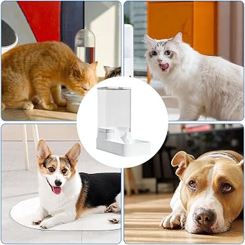 Automatic Cat Feeder 3.8L Small Medium Pet Automatic Food Feeder and Waterer Dispenser | Travel Supply Feeder and Water Dispenser for Dogs Cats Pets Animals, Dry Food Dispenser for Dogs and Cats