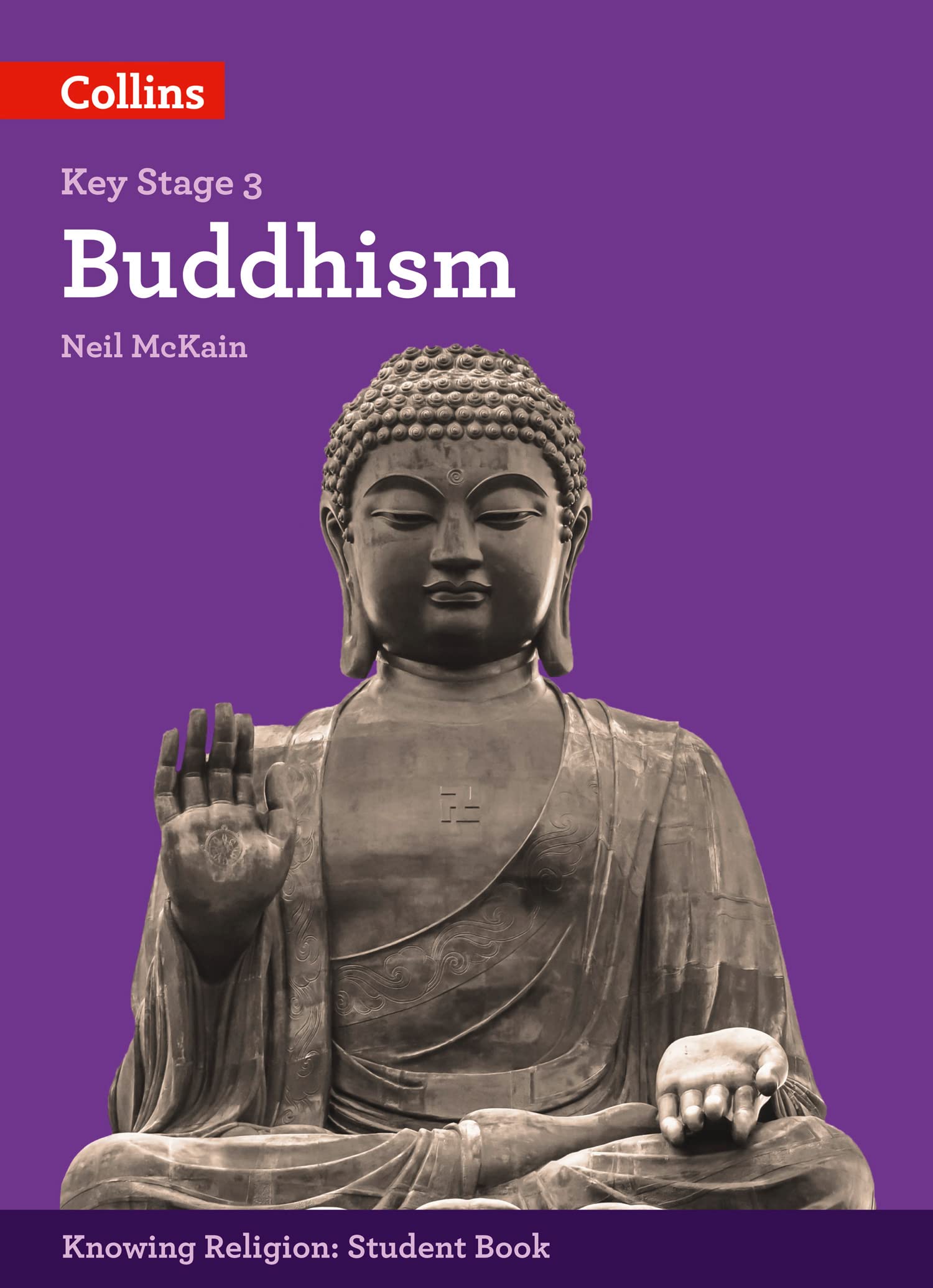 Buddhism by Neil McKain (Paperback Book)