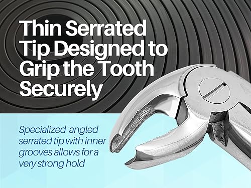 Vista 2 de Fórceps de extracción dental (molar inferior MD4#22)