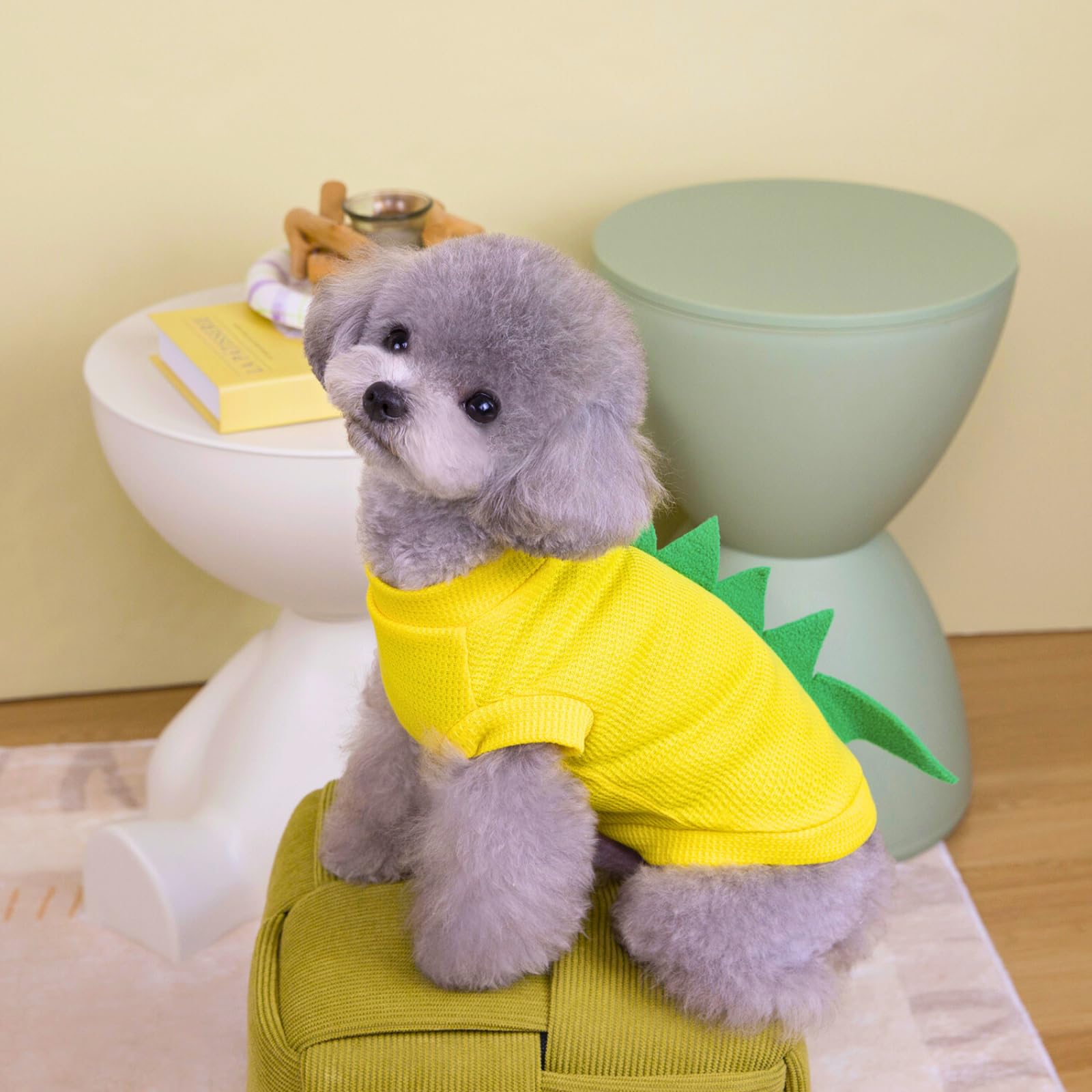 Amazon | 【Mofu＆Co.東京本店】 犬服 小型犬 春夏 恐竜デザイン D型 