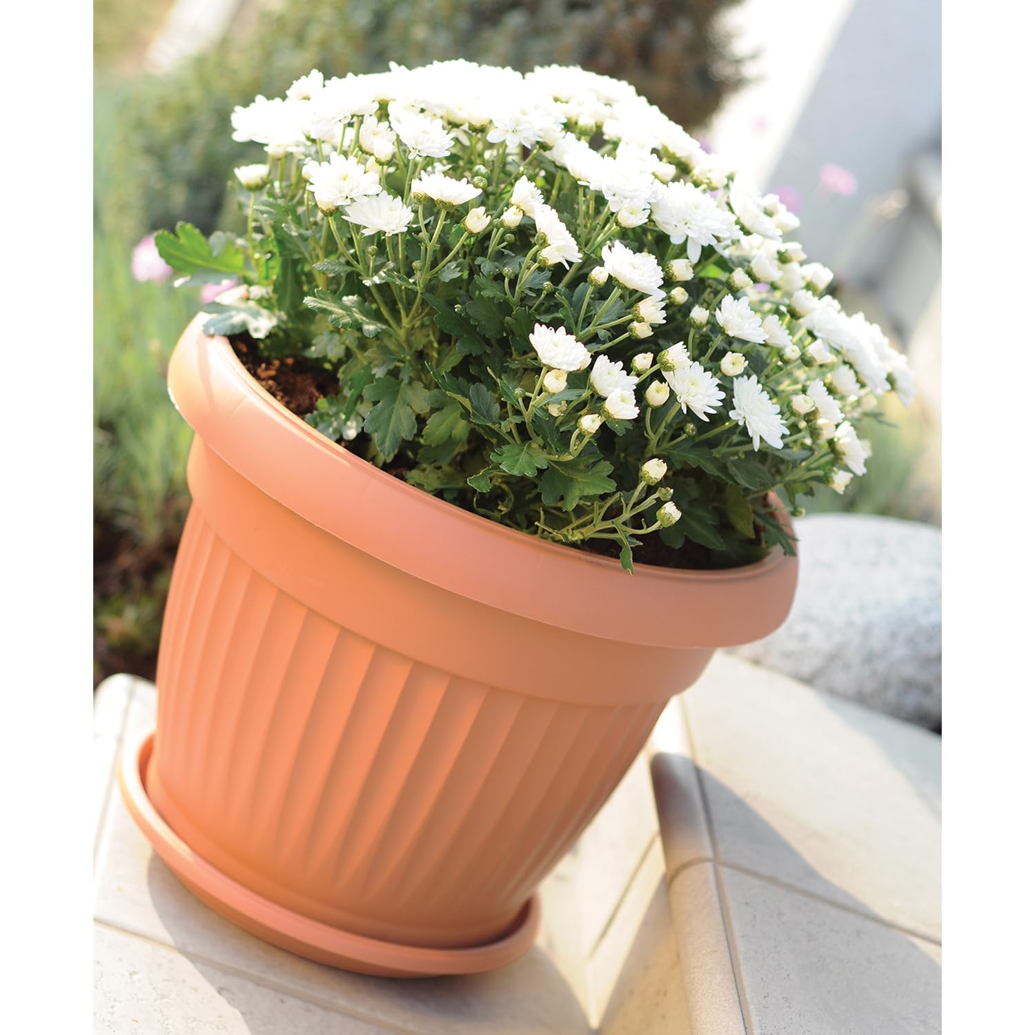 IMJ-Global DCE64 Terra Pot de fleurs rond Ø 64 cm pour intérieur et extérieur Terracotta 78 litres Ø 64 x 50 cm Design classique Jardinière en plastique pour balcon