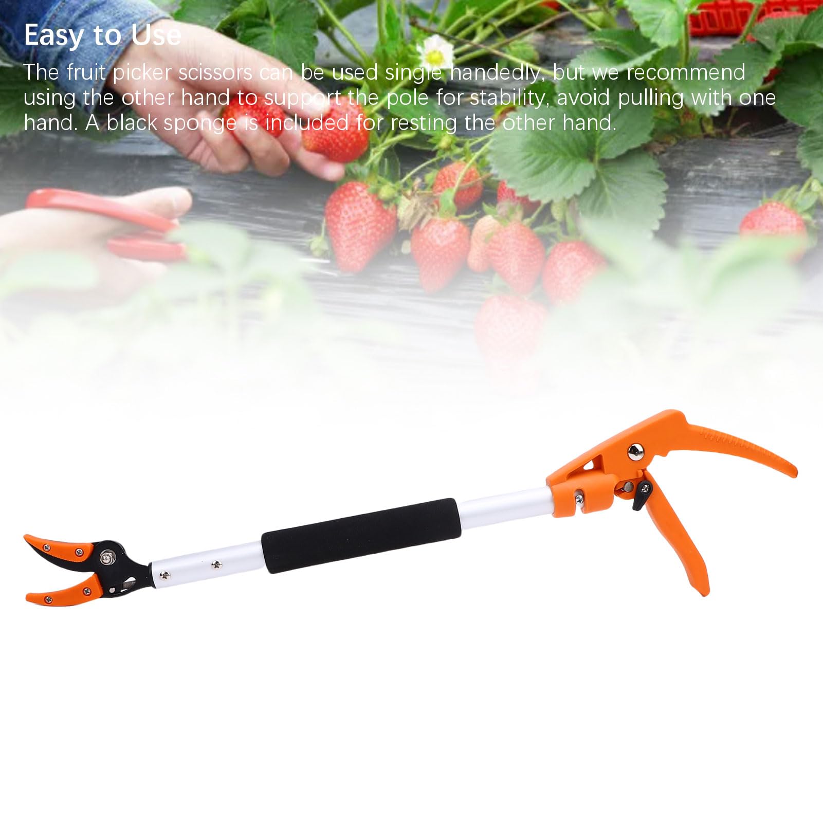Tijeras profesionales para recolectar frutas de 2 pies, diseño ergonómico, ideal para cosechar fácilmente en huertos, aleación de aluminio, 1 pieza