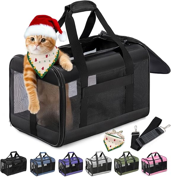 Cat Carrier Airline Approved with Safety Leash