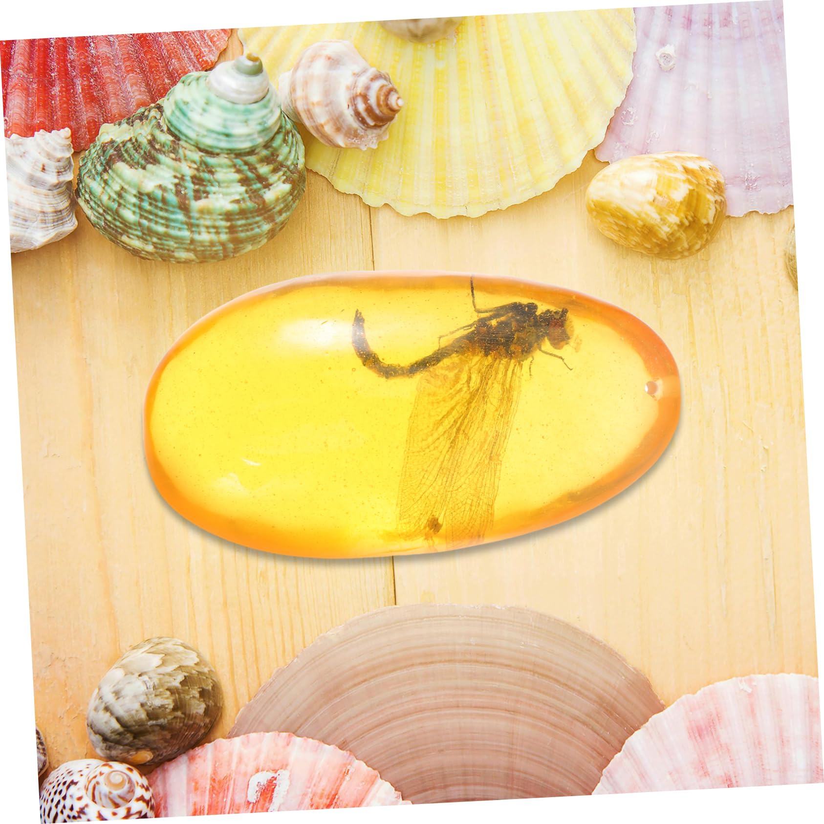 Veemoon Insect Specimen Resin Dragonfly Insect Sample for Home Decor Natural Stone Collectible for Display and Decoration Approximately