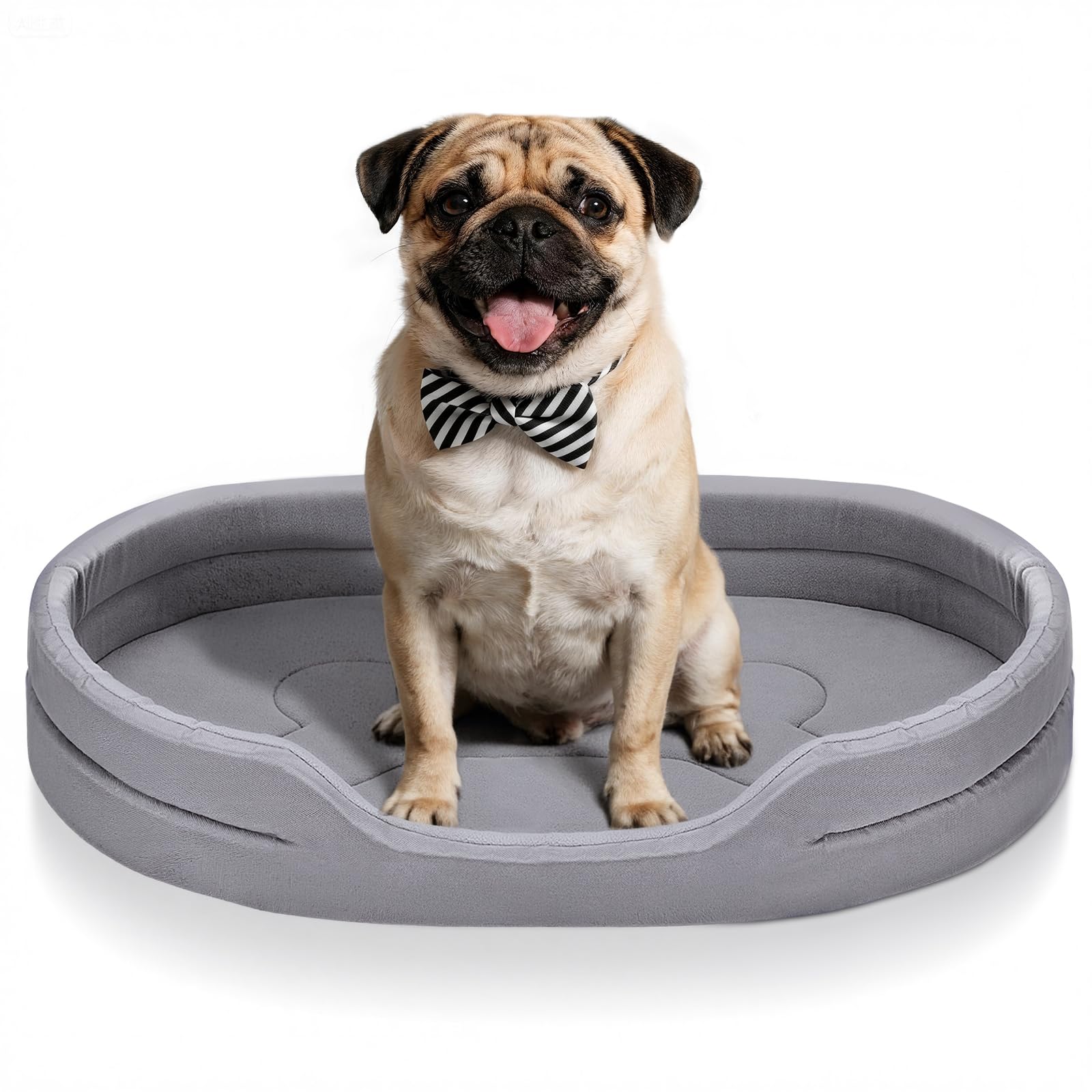 LESUCCI Cama para Perro Mediano y pequeño, Cama de Perro Lavable y Ligera, 80 x 55 x 14 cm, Camita para Perro Resistente a Deformaciones con Colchón Reversible y Base Antideslizante (Large)