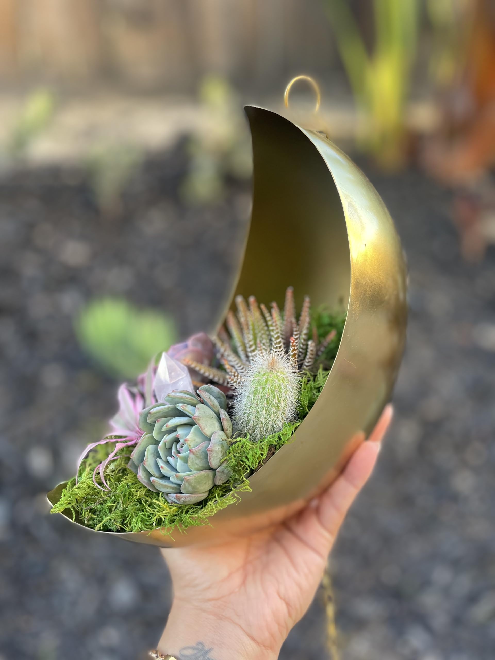 鉢・プランター spicygem Meteorite BOWL pot ver APOLLO Meteorite BOWL var. APOLLO – GAHGA