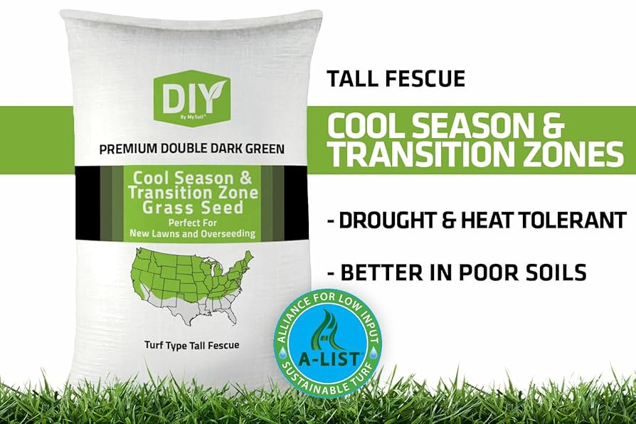 【SJ18762】SEED / Shiny Day Pokémon SV08: Surging Sparks #056/191 Chien-Pao Rare | eBay