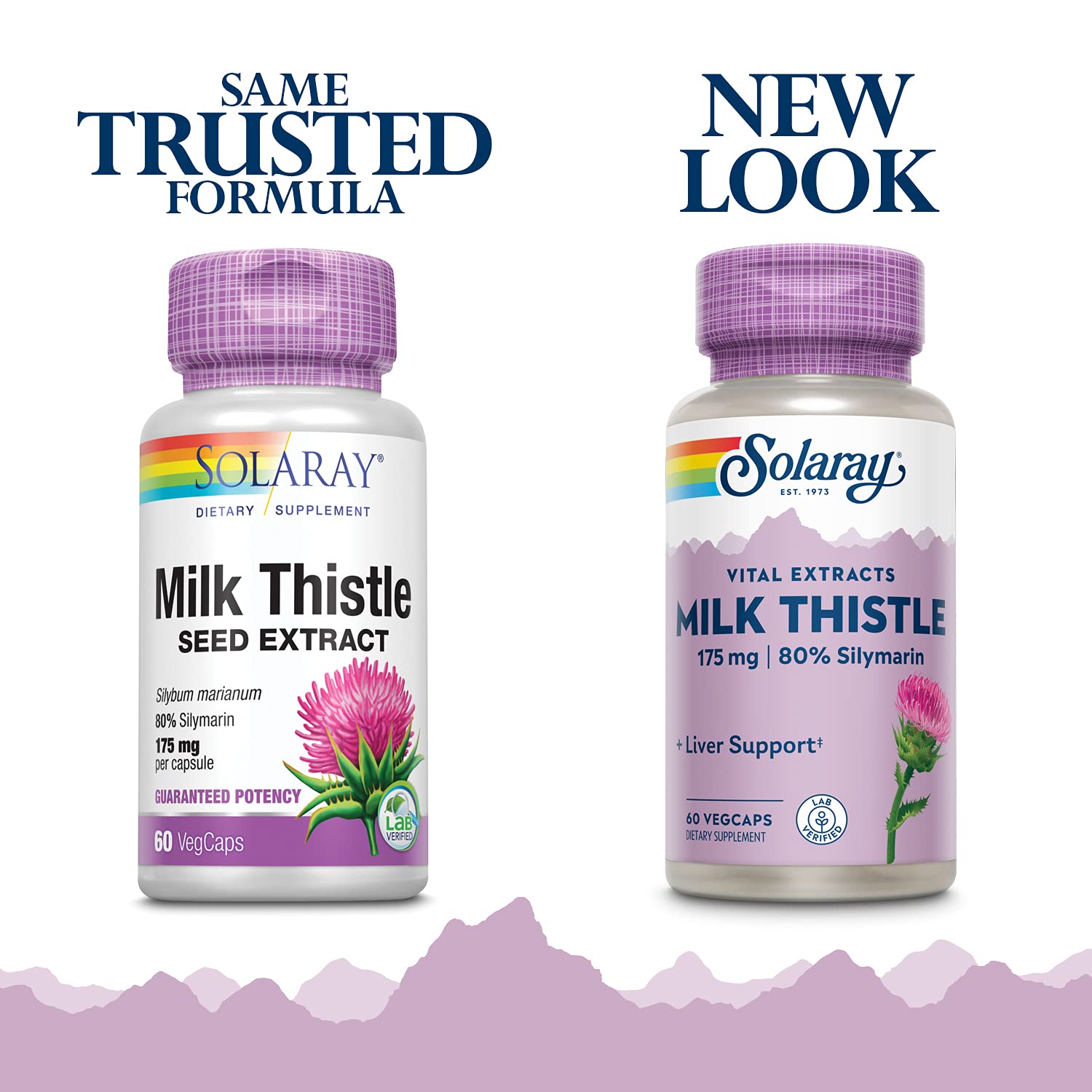 SOLARAY Milk Thistle Seed Extract 175mg Antioxidant Intended to Help Support a Normal, Healthy Liver Non-GMO & Vegan : Health & Household