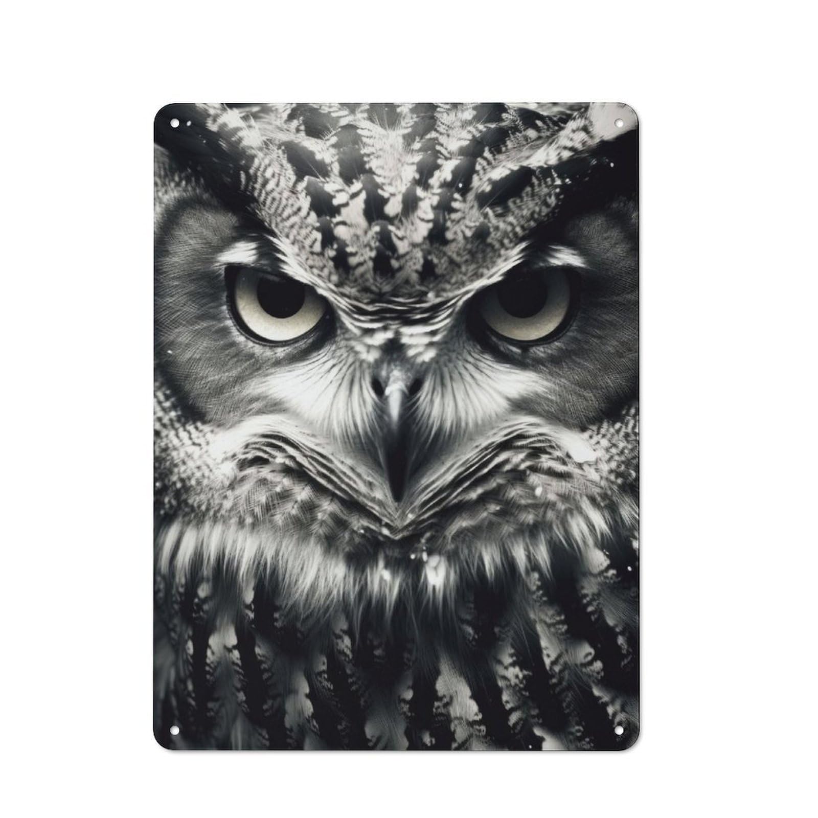 Junmoney Owl Animals Tin Sign 40X30cm With For Workshop Wall, Vintage Decor, For Metal Sign Collectors, For Garage And Workshop Walls