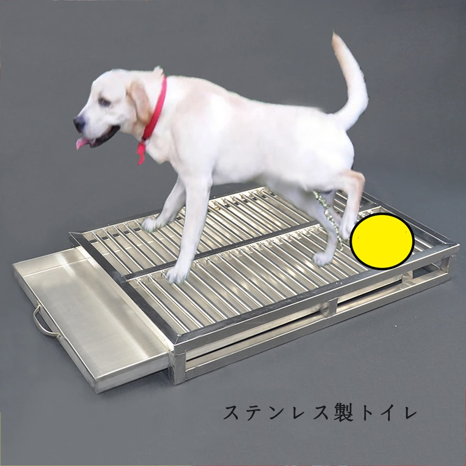 Amazon | トイレトレー ワイド、ステンレス製犬用トイレトイレトレイ 