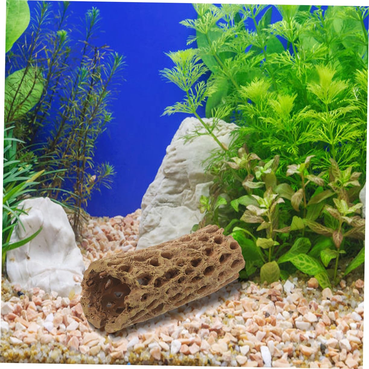 COLLBATH 2 Stück Garnelenversteck aus Harz Aquarium Dekoration Robustes Garnelenversteck Natürliches Aquarium Ornament für Garnelen und Kleine Fische