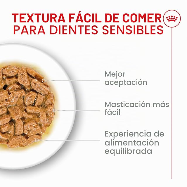 Foto 5 de 8 de ROYAL CANIN AGEING 11+ Gravy