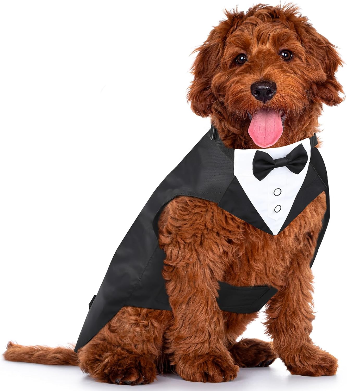 Traje Formal para Perro, Esmoquin con Bandana, Talla M
