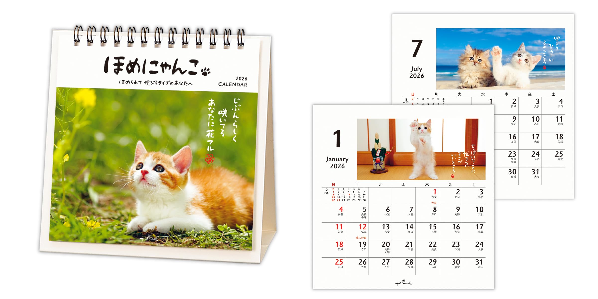 Amazon | ホールマーク 2026年 カレンダー 卓上 ほめにゃんこ 845551