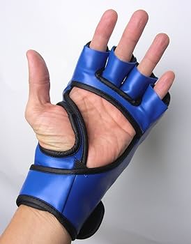 Amazon | オープンフィンガーグローブ 【青 ブルー】総合格闘技